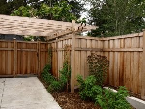 cedar fence pergola