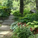 Spring Yard Cleanup Checklist for Lawns & Gardens