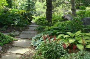 woodland+garden+stepping+stones